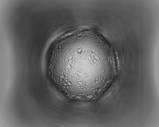 X0000113330343200909281232