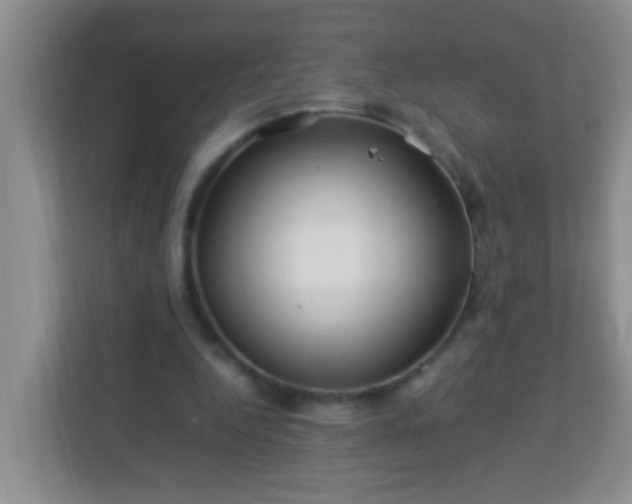 X0000113330344200909281232