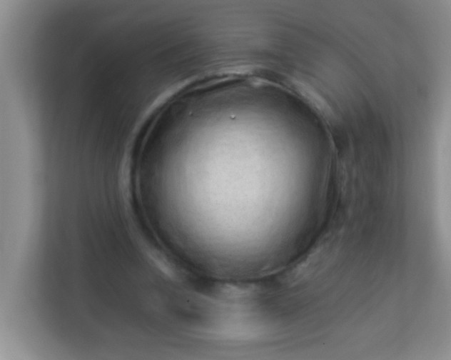 X0000113330346200909281232
