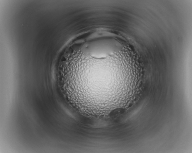 X0000113330347200909281232