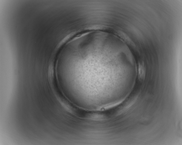 X0000113330348200909281232