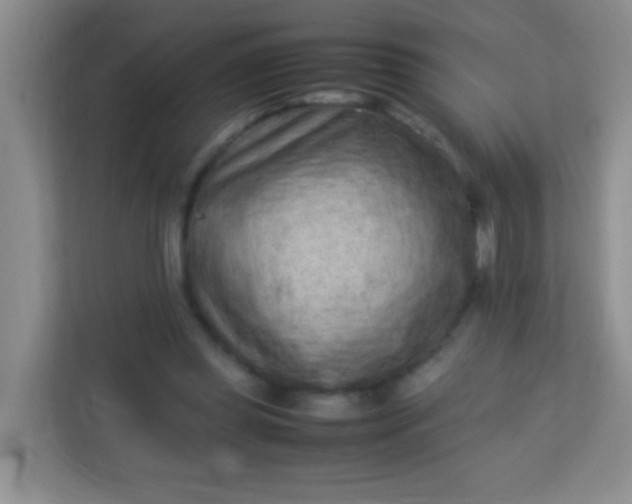 X0000113330349200909281232