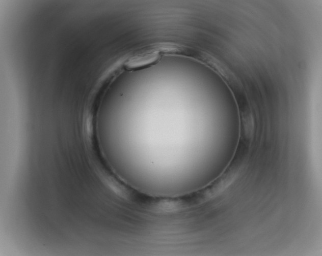 X0000113330350200909281232