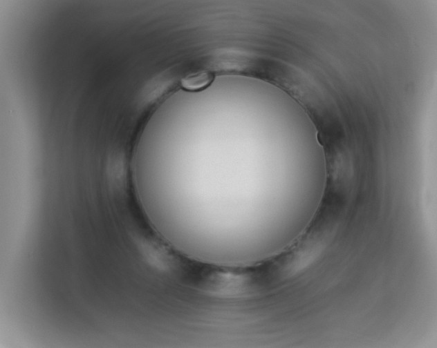 X0000113330352200909281232