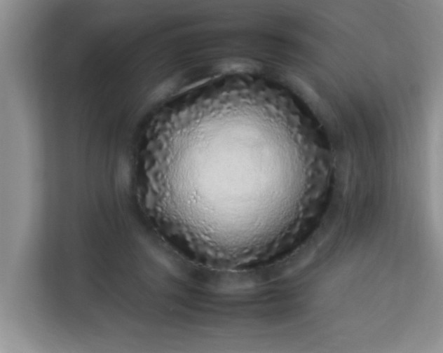 X0000113330357200909281232