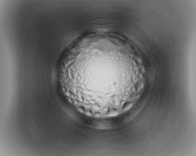 X0000113330359200909281232