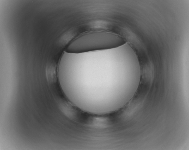 X0000113330360200909281232
