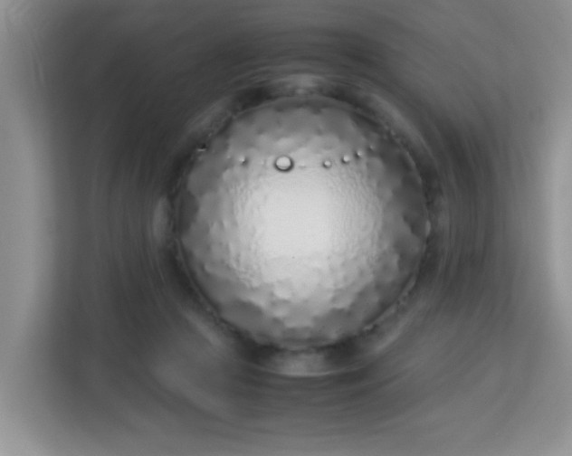 X0000113330361200909281232