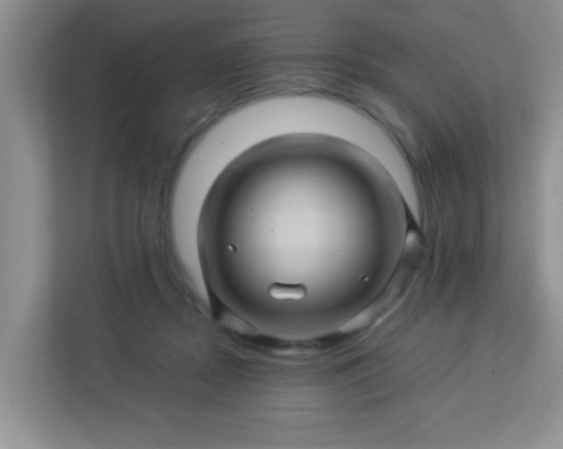 X0000113330362200909281232