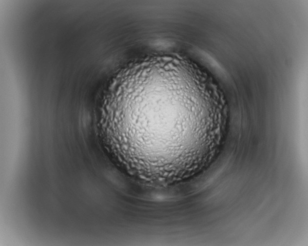 X0000113330365200909281232
