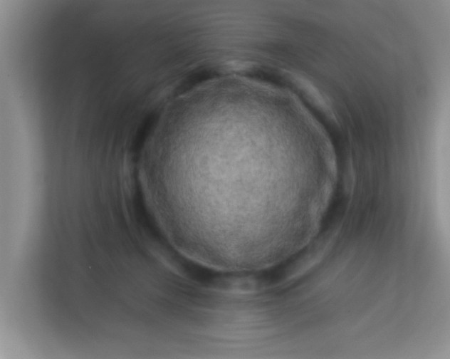 X0000113330366200909281232
