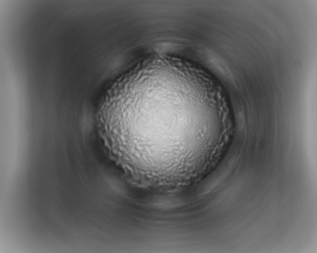 X0000113330367200909281232