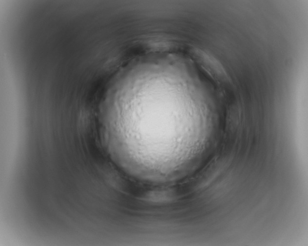 X0000113330369200909281232