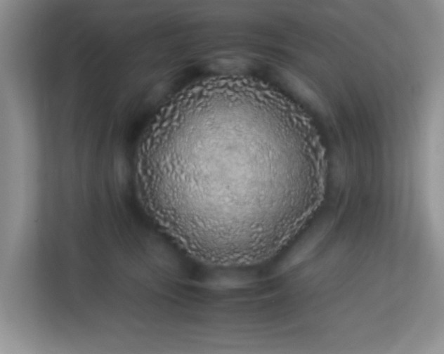 X0000113330371200909281232