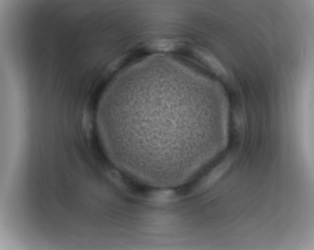 X0000113330374200909281232