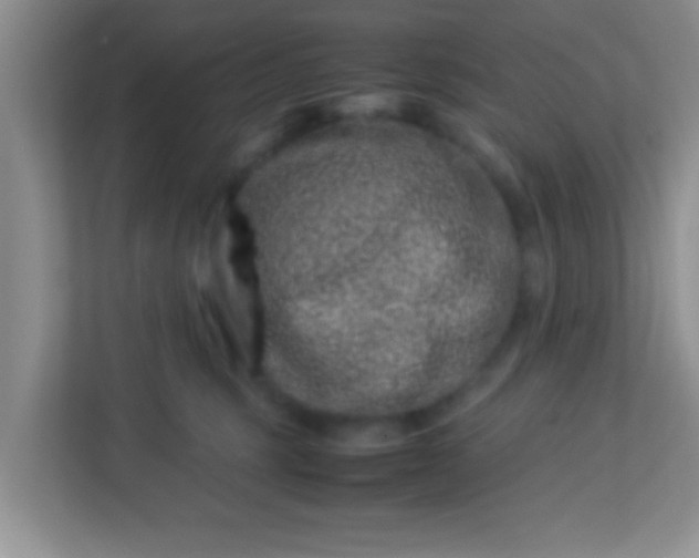 X0000113330375200909281232