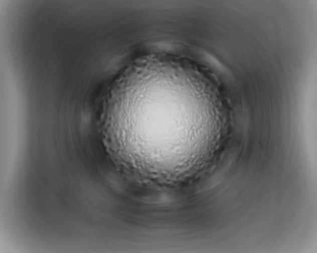 X0000113330377200909281232