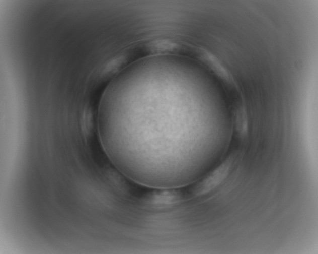 X0000113330378200909281232