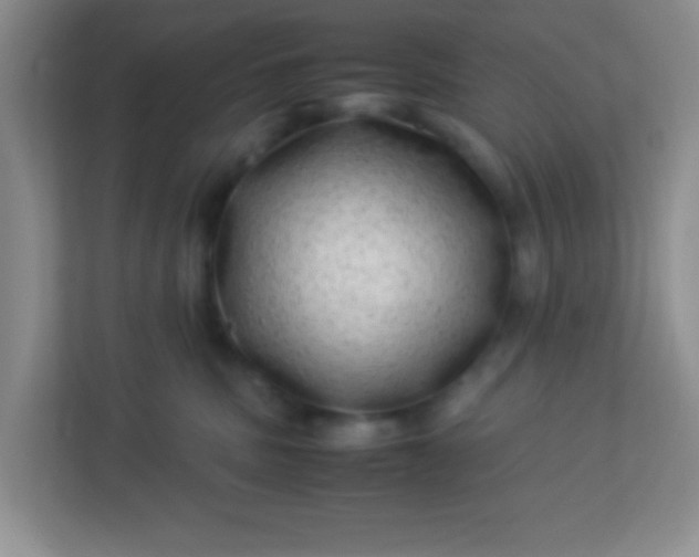 X0000113330379200909281232