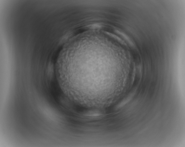 X0000113330381200909281232