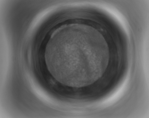 X0000113330382200909281232