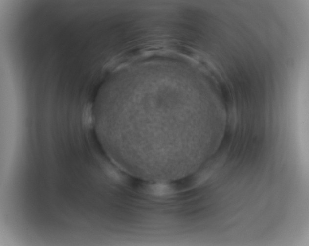 X0000113330383200909281232
