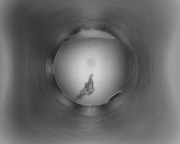 X0000113330384200909281232
