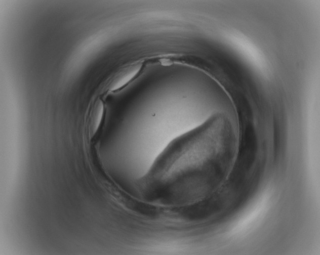 X0000113330387200909281232