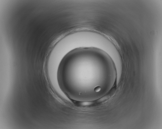 X0000113330389200909281232
