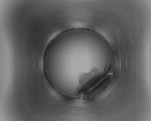 X0000113330391200909281232