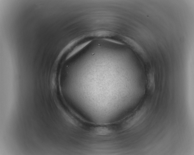 X0000113330392200909281232