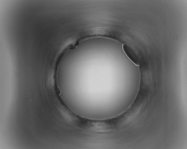 X0000113330395200909281232