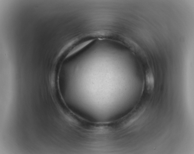 X0000113330396200909281232