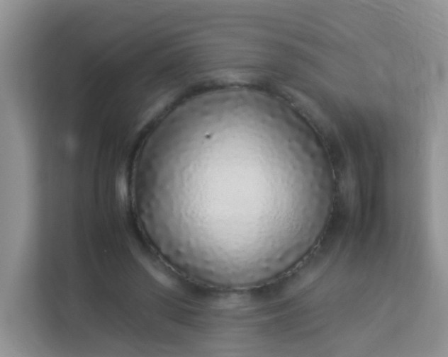 X0000113330398200909281232