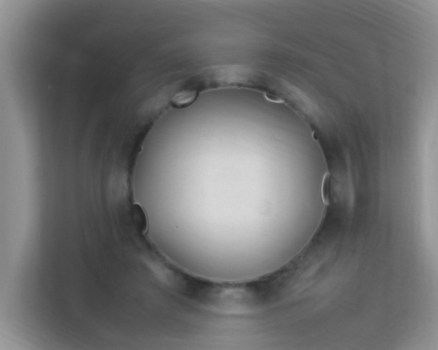 X0000113330401200909281232
