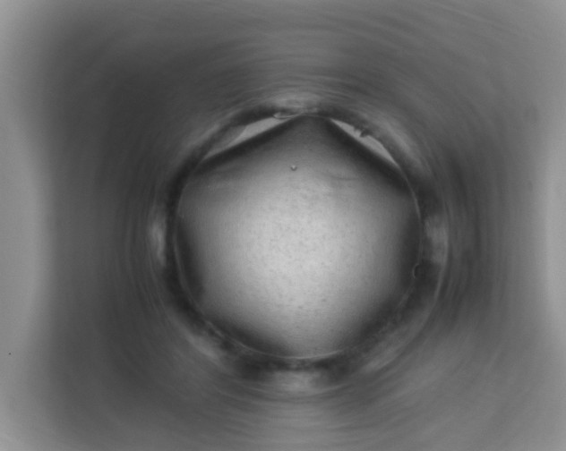 X0000113330404200909281231