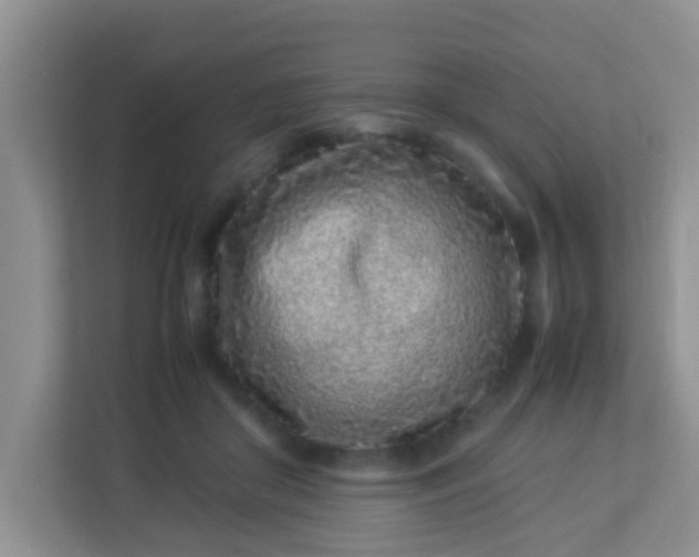 X0000113330410200909281231