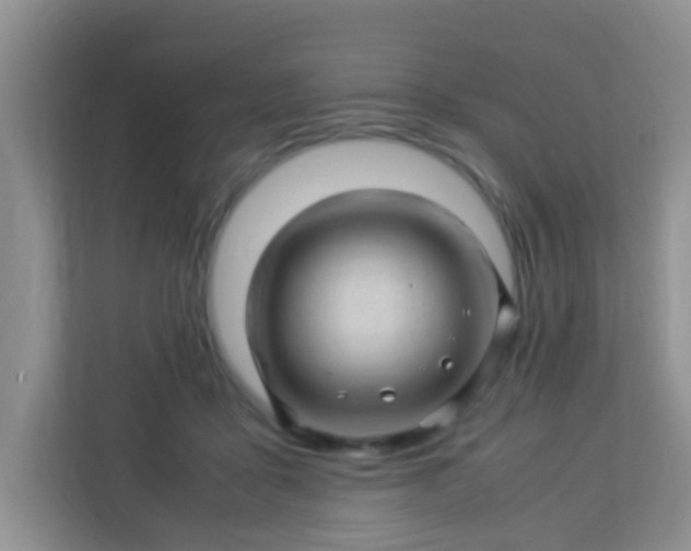 X0000113330411200909281231