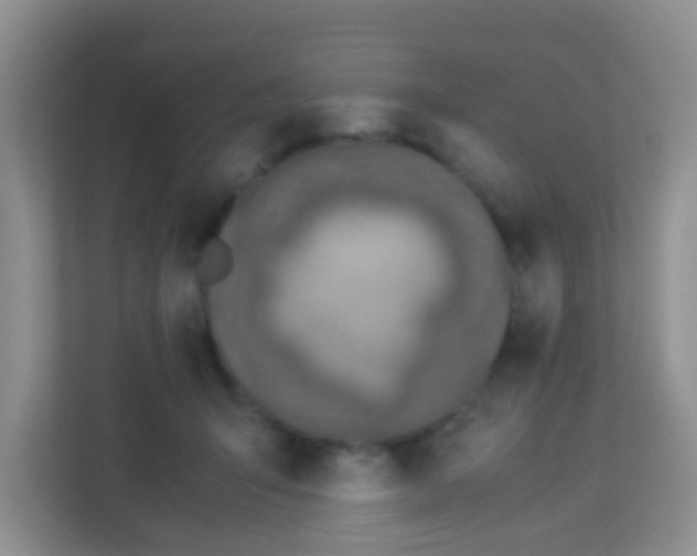 X0000113330415200909281231