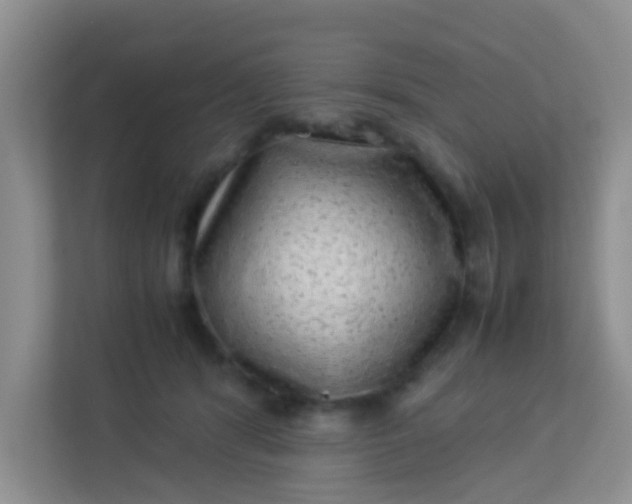 X0000113330416200909281231