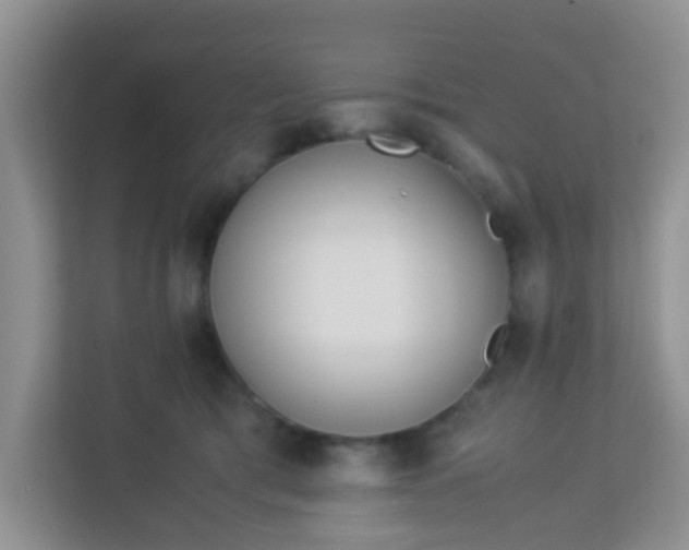 X0000113330417200909281231