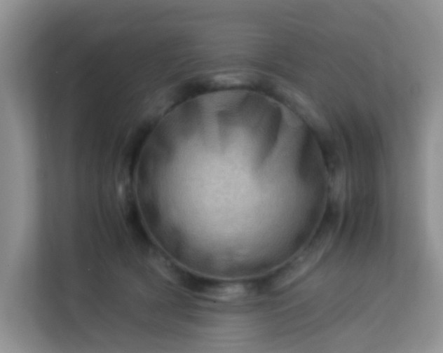 X0000113330418200909281231