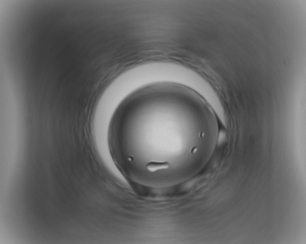 X0000113330419200909281231
