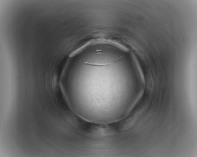 X0000113330420200909281231