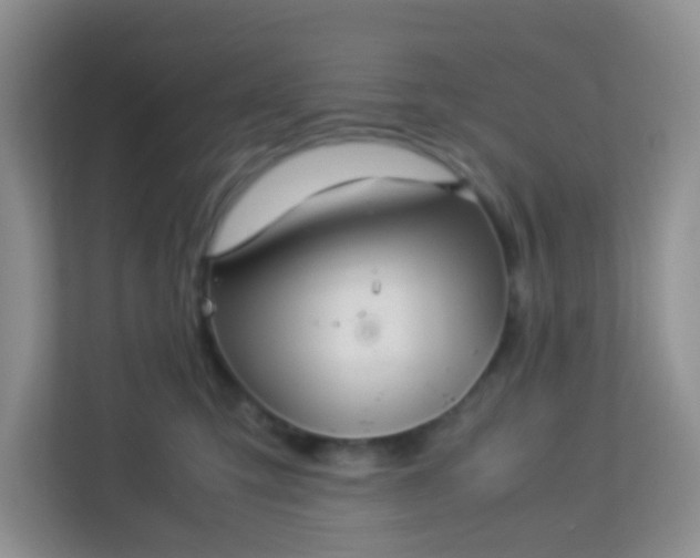 X0000113330423200909281231