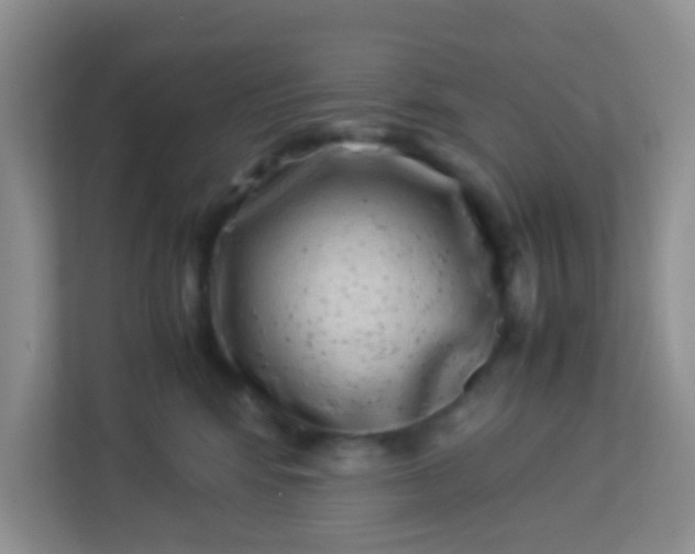 X0000113330424200909281231