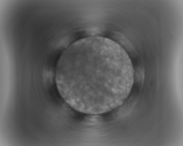 X0000113330427200909281231