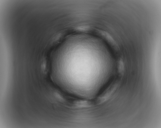 X0000113330428200909281231
