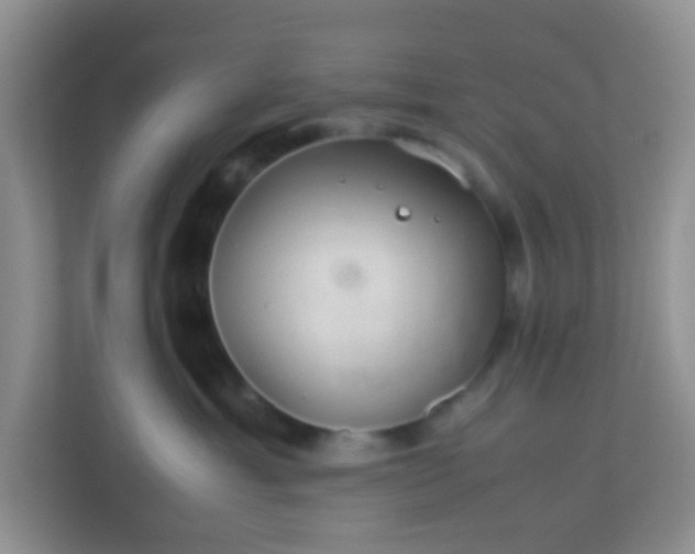 X0000113330429200909281231