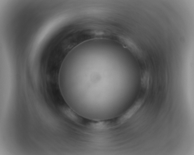 X0000113330430200909281231